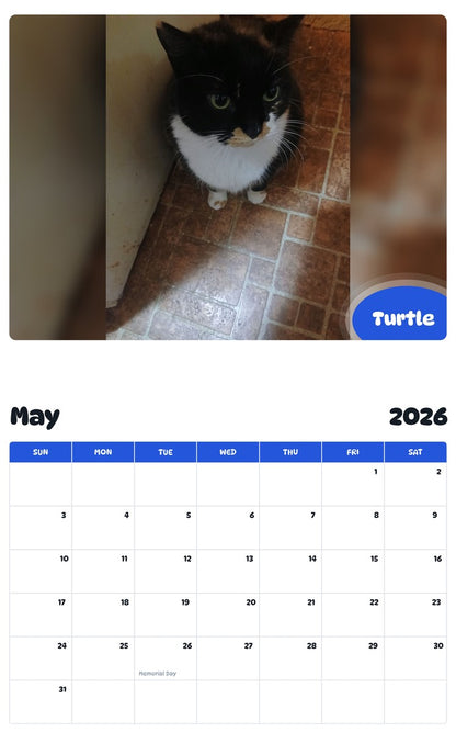 2026 - 2027 Turtle - Pawidols Pet Calendar