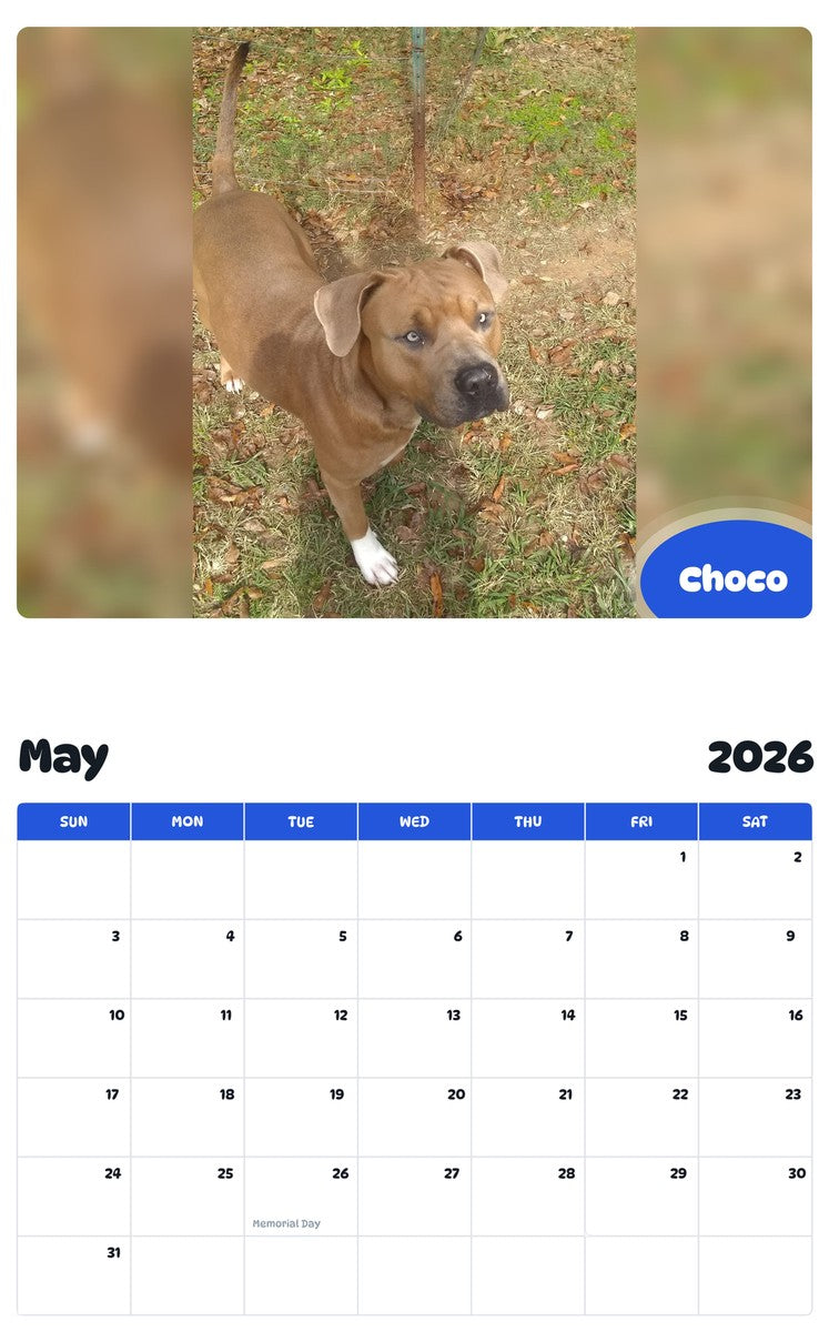 2026 - 2027 Choco - Pawidols Pet Calendar