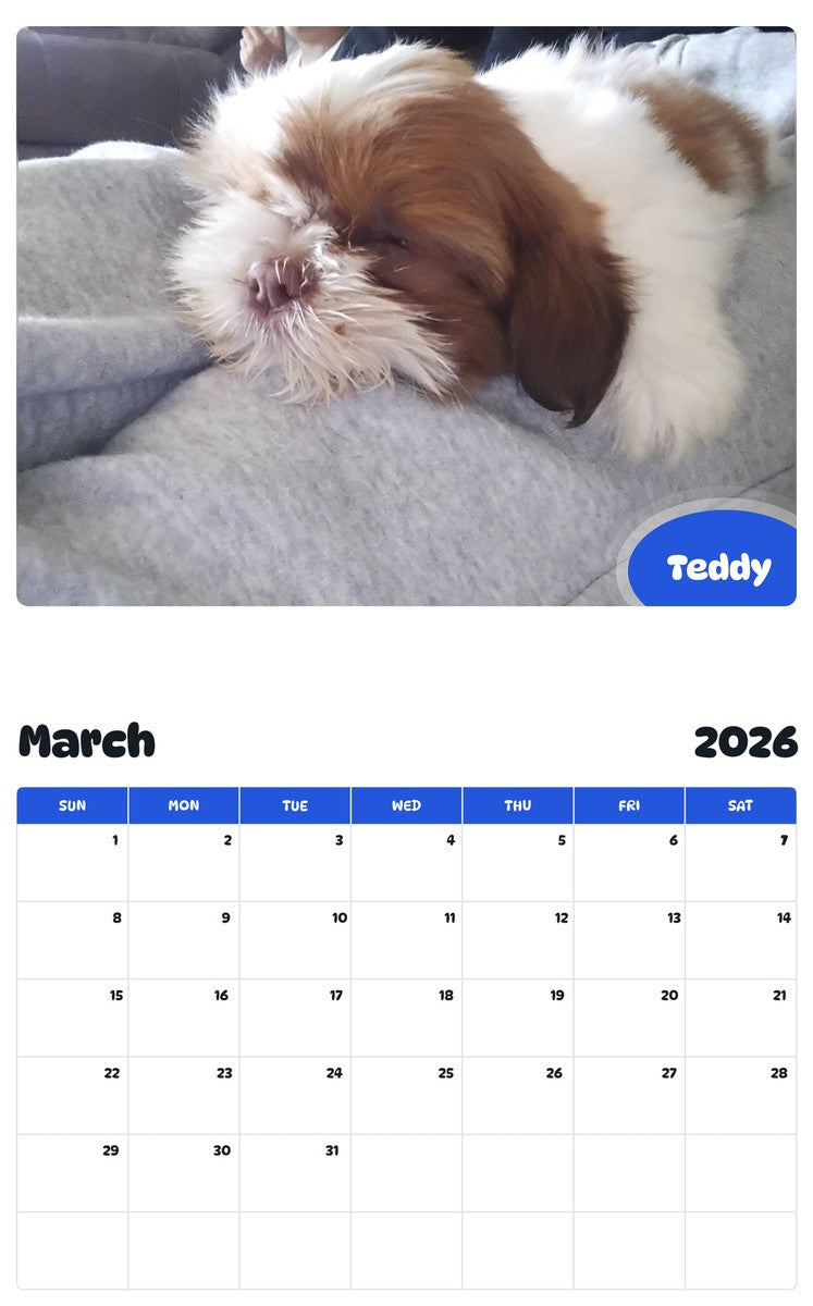 November 2025 - October 2026 Teddy - Pawidols Pet Calendar