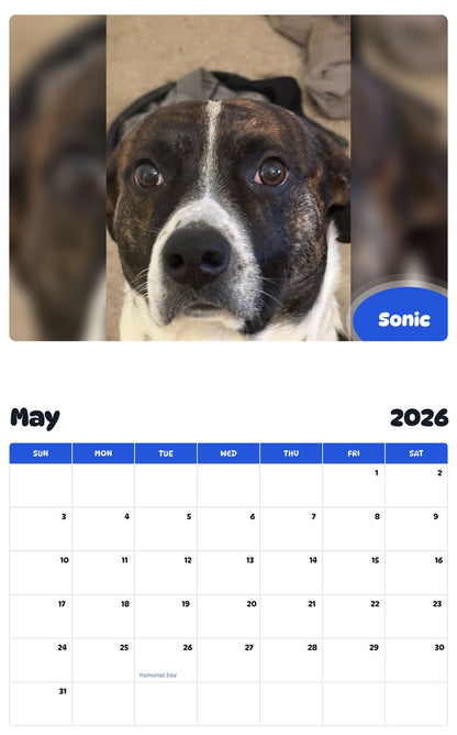 2026 - 2027 Sonic - Pawidols Pet Calendar