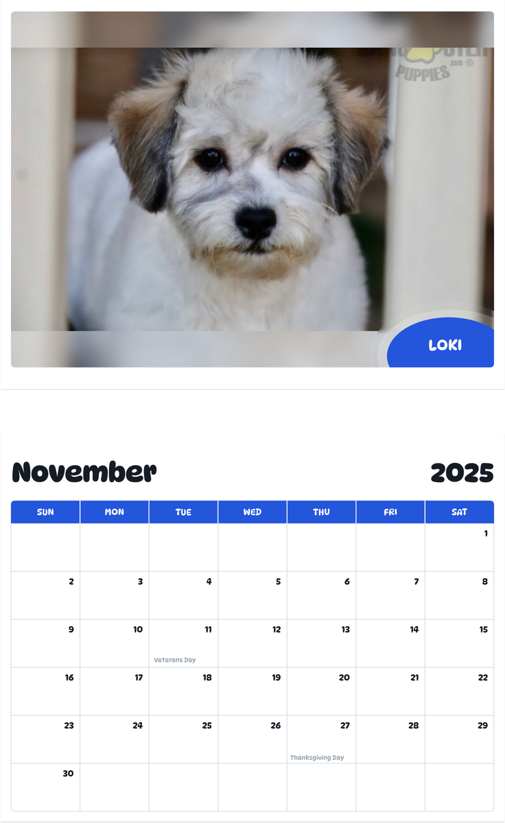 July 2025 - June 2026 Loki - Pawidols Pet Calendar