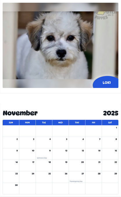 July 2025 - June 2026 Loki - Pawidols Pet Calendar