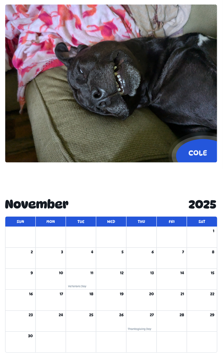 July 2025 - June 2026 Cole - Pawidols Pet Calendar