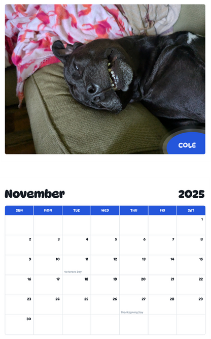 July 2025 - June 2026 Cole - Pawidols Pet Calendar