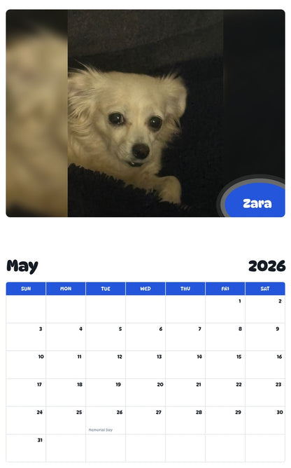 2026 - 2027 Zara - Pawidols Pet Calendar