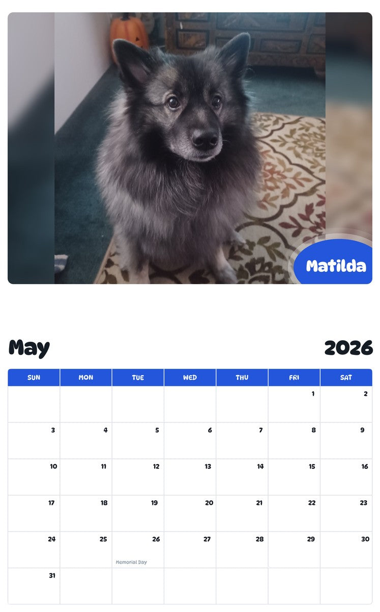 2026 - 2027 Matilda - Pawidols Pet Calendar