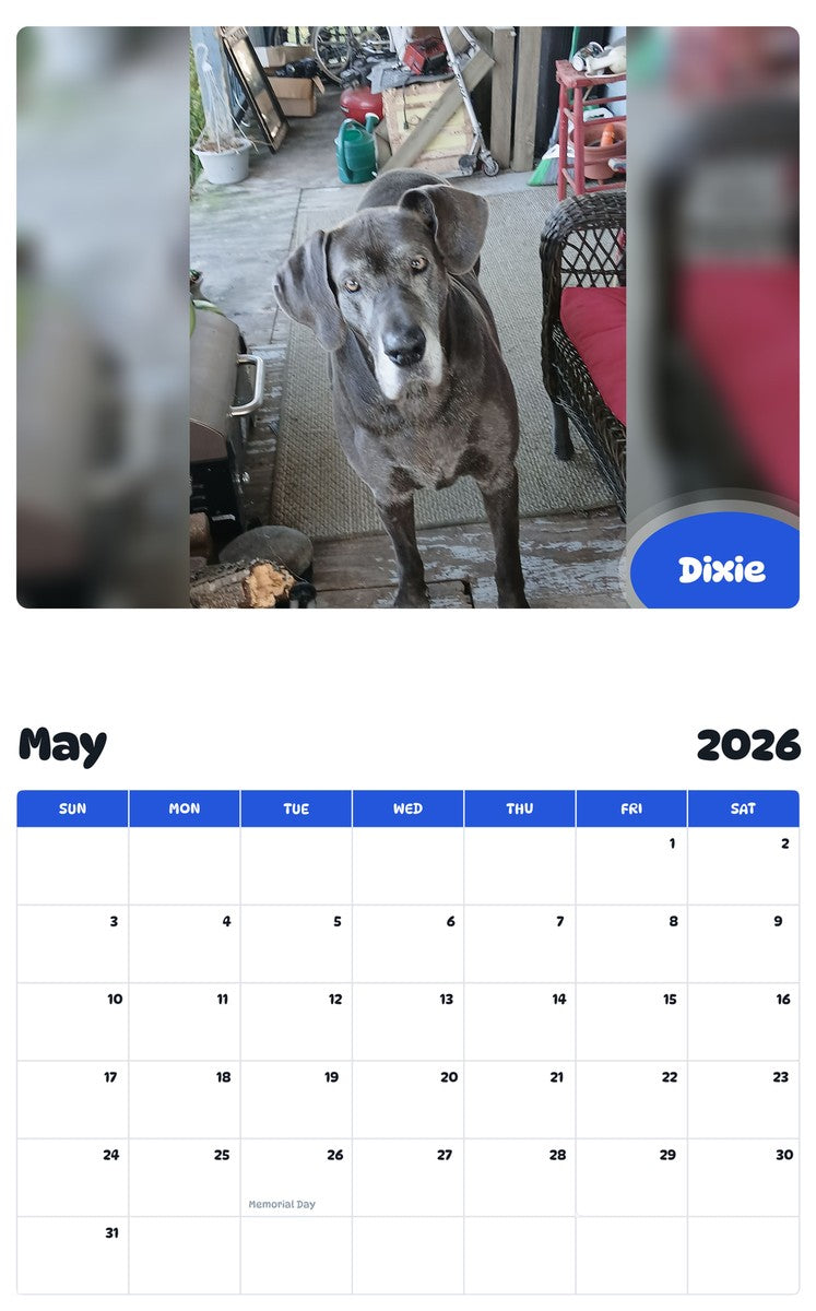 2026 - 2027 Dixie - Pawidols Pet Calendar
