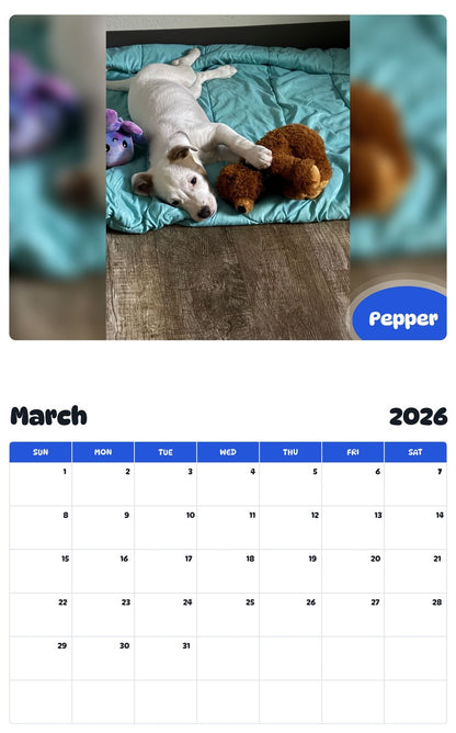 November 2025 - October 2026 Pepper - Pawidols Pet Calendar
