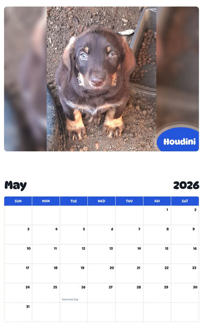 2026 - 2027 Houdini - Pawidols Pet Calendar