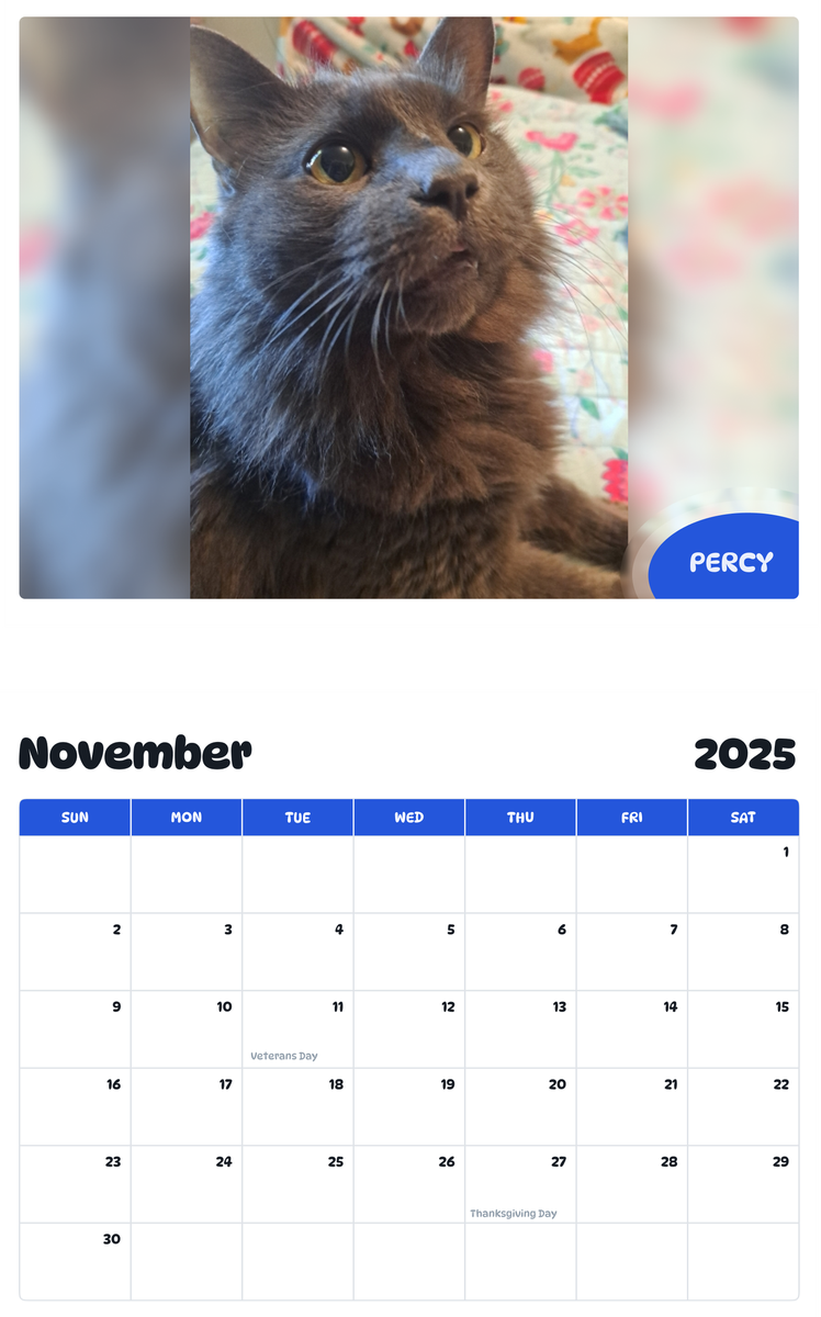 July 2025 - June 2026 Percy - Pawidols Pet Calendar