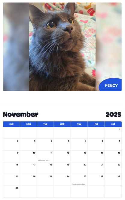 July 2025 - June 2026 Percy - Pawidols Pet Calendar