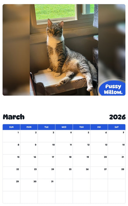 November 2025 - October 2026 Pussy Willow. - Pawidols Pet Calendar