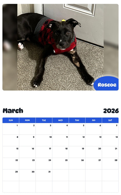 November 2025 - October 2026 Roscoe - Pawidols Pet Calendar
