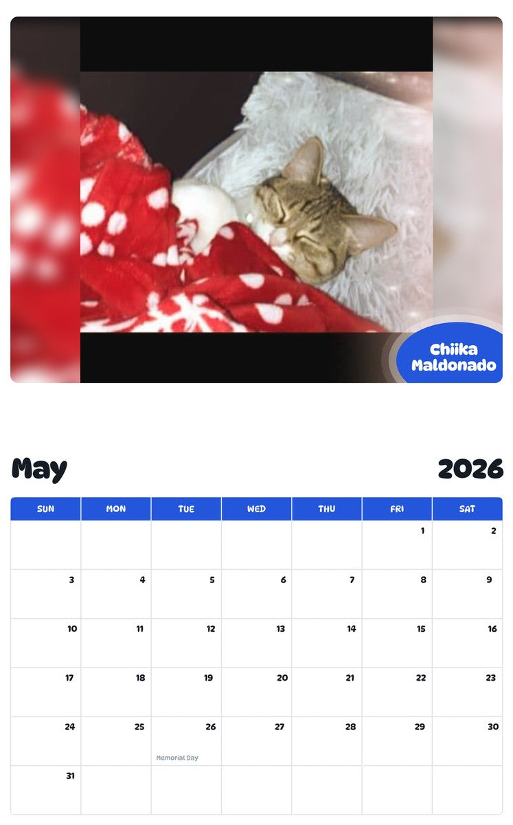 2026 - 2027 Chiika Maldonado - Pawidols Pet Calendar