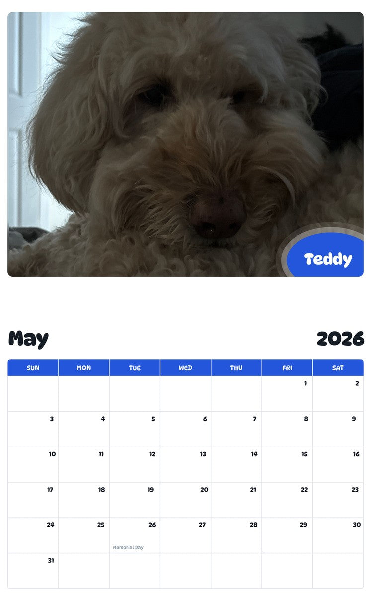 2026 - 2027 Teddy - Pawidols Pet Calendar