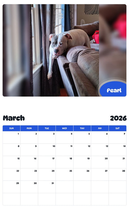 November 2025 - October 2026 Pearl - Pawidols Pet Calendar