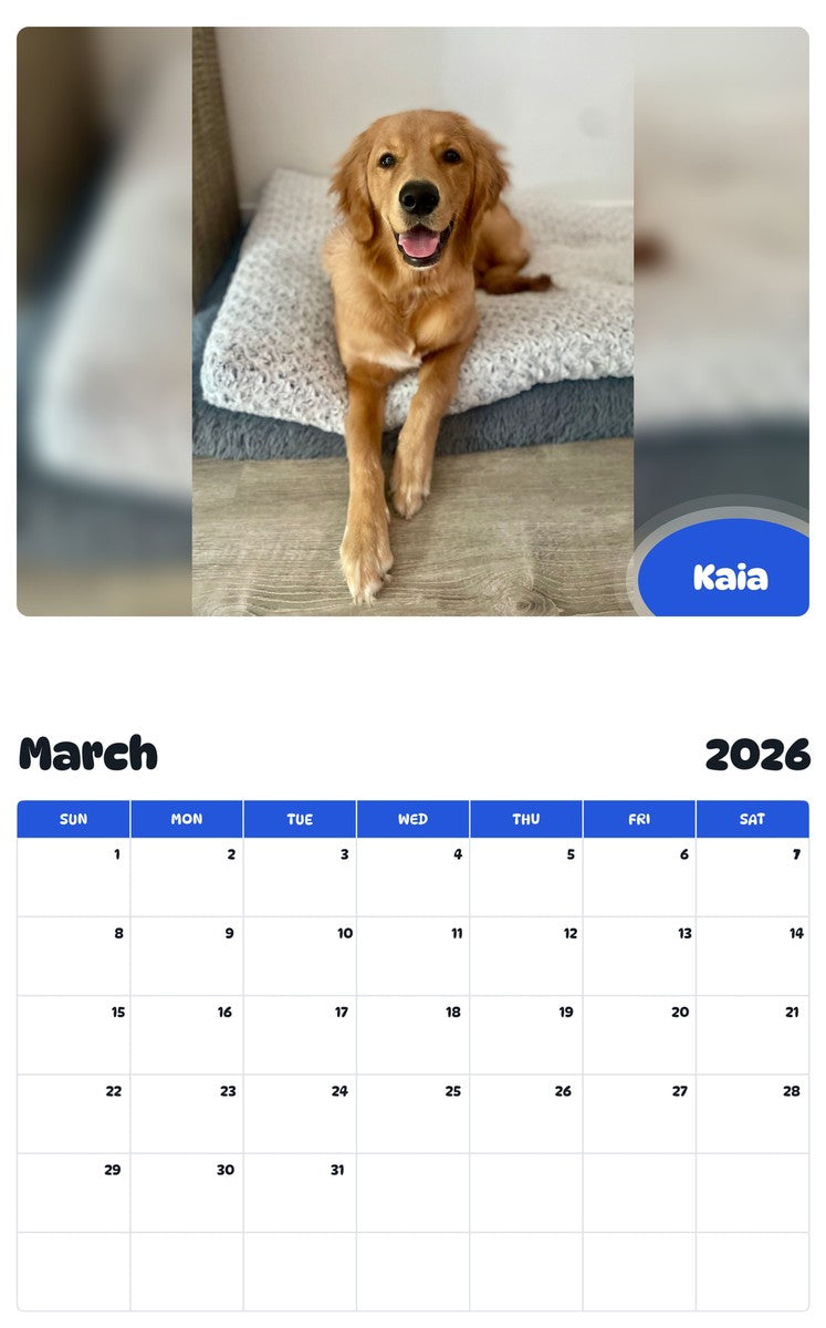 November 2025 - October 2026 Kaia - Pawidols Pet Calendar