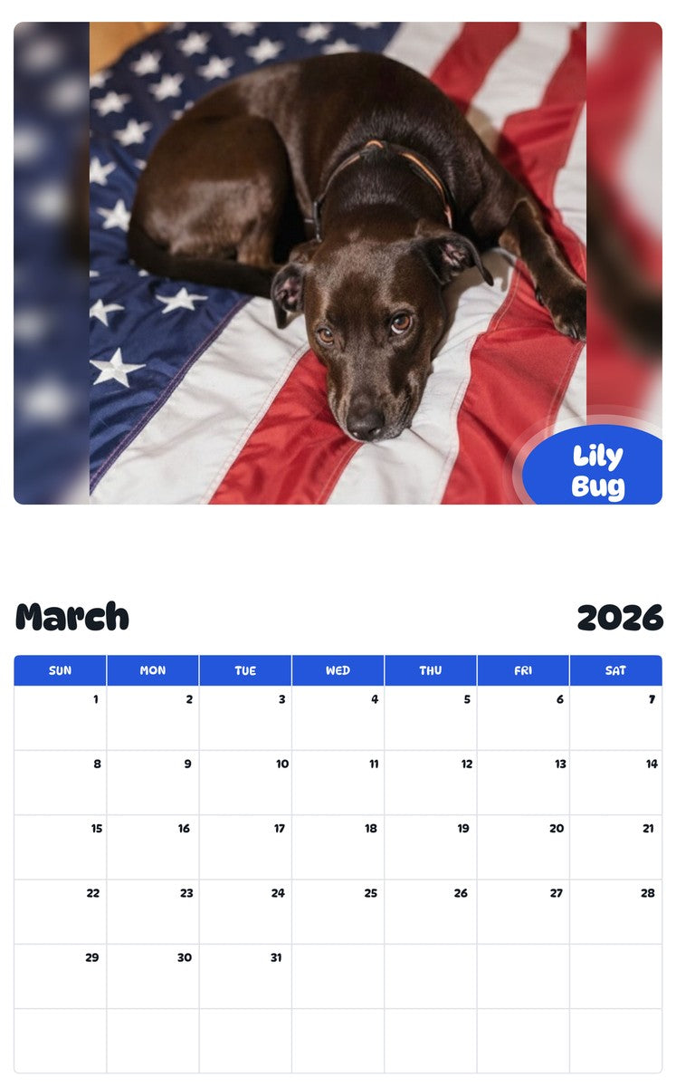 November 2025 - October 2026 Lily Bug - Pawidols Pet Calendar