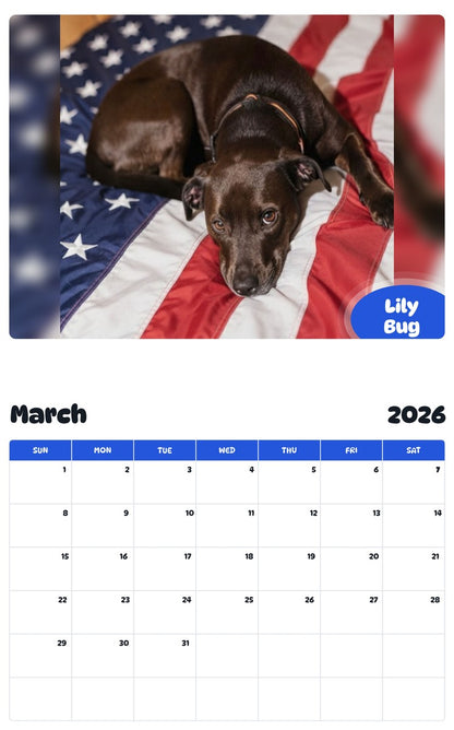 November 2025 - October 2026 Lily Bug - Pawidols Pet Calendar