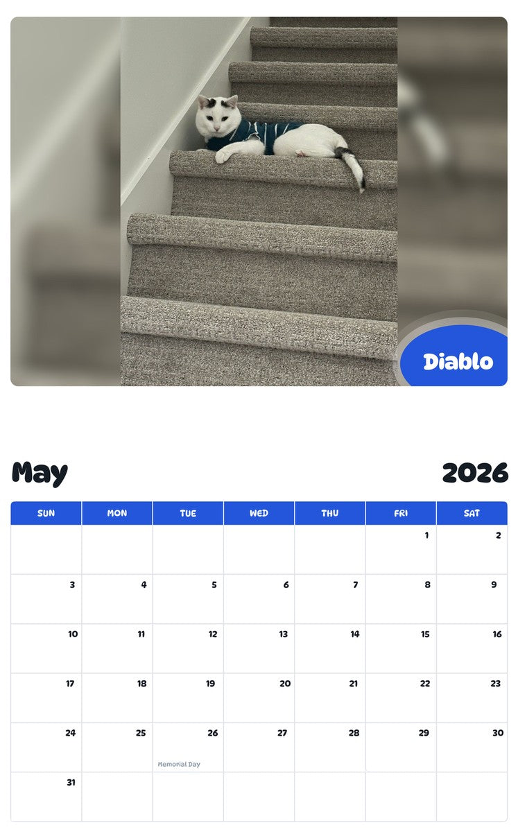 2026 - 2027 Diablo - Pawidols Pet Calendar