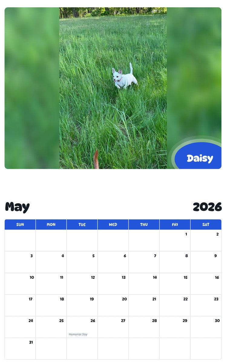 2026 - 2027 Daisy - Pawidols Pet Calendar