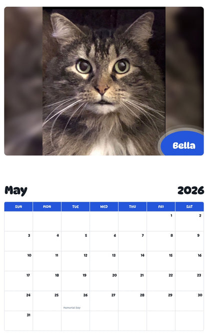 2026 - 2027 Bella - Pawidols Pet Calendar