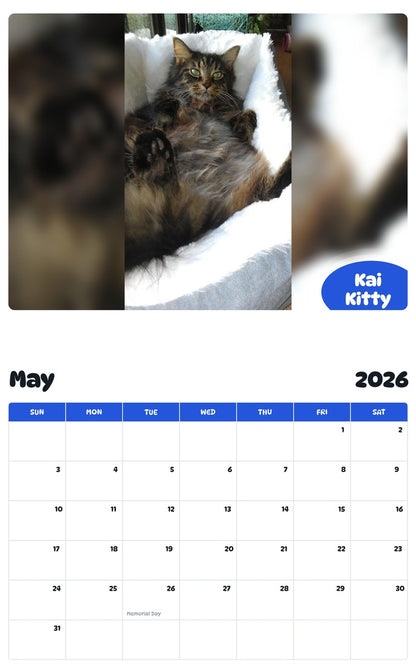 2026 - 2027 Kai Kitty - Pawidols Pet Calendar