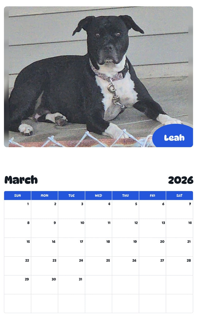 November 2025 - October 2026 Leah - Pawidols Pet Calendar