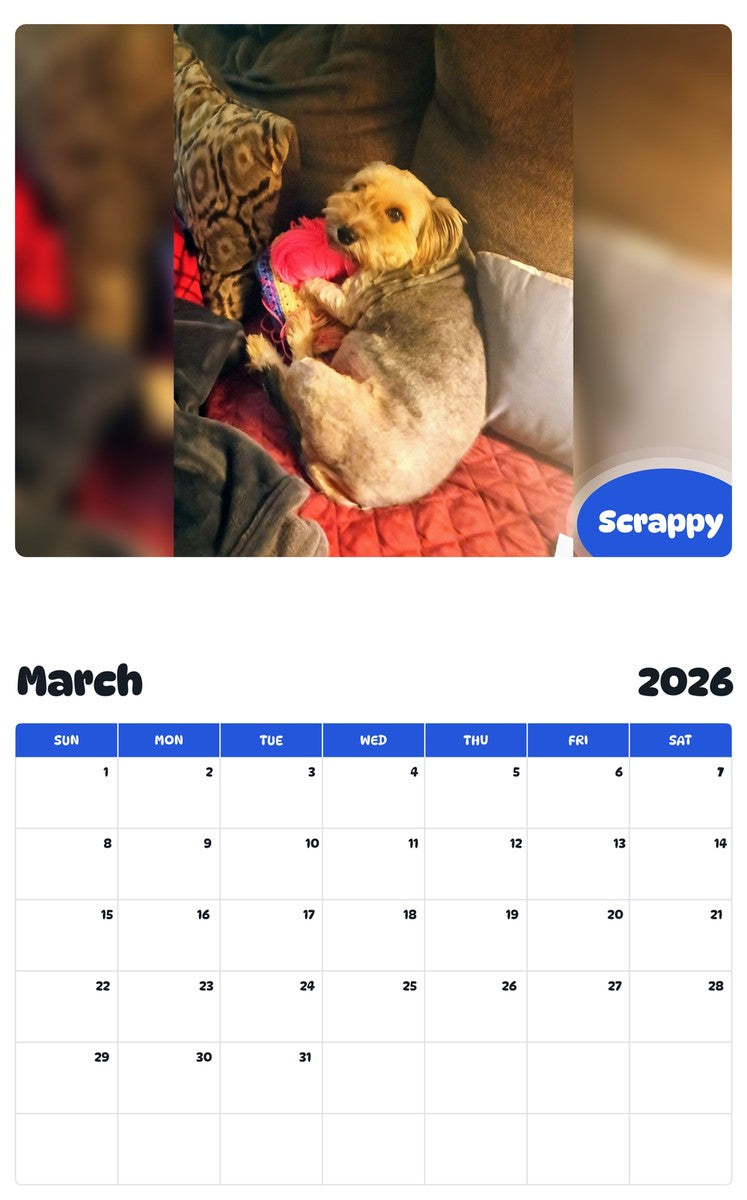 November 2025 - October 2026 Scrappy - Pawidols Pet Calendar
