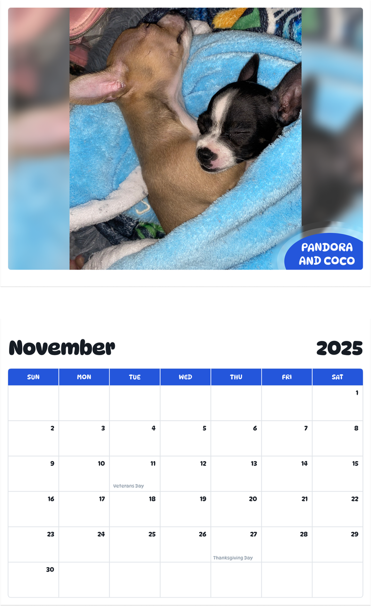 July 2025 - June 2026 Pandora & Coco - Pawidols Pet Calendar