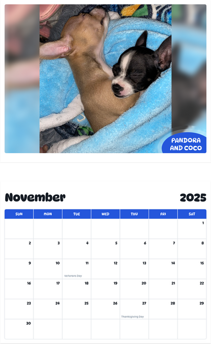 July 2025 - June 2026 Pandora & Coco - Pawidols Pet Calendar