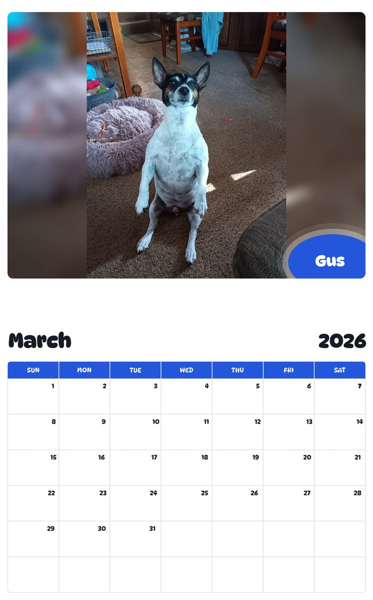 November 2025 - October 2026 Gus - Pawidols Pet Calendar