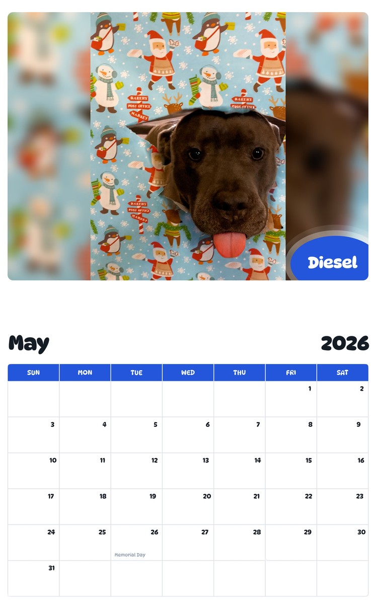 2026 - 2027 Diesel - Pawidols Pet Calendar