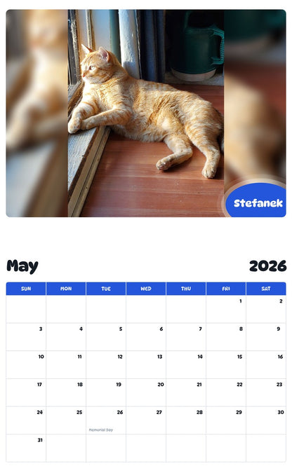 2026 - 2027 Stefanek - Pawidols Pet Calendar