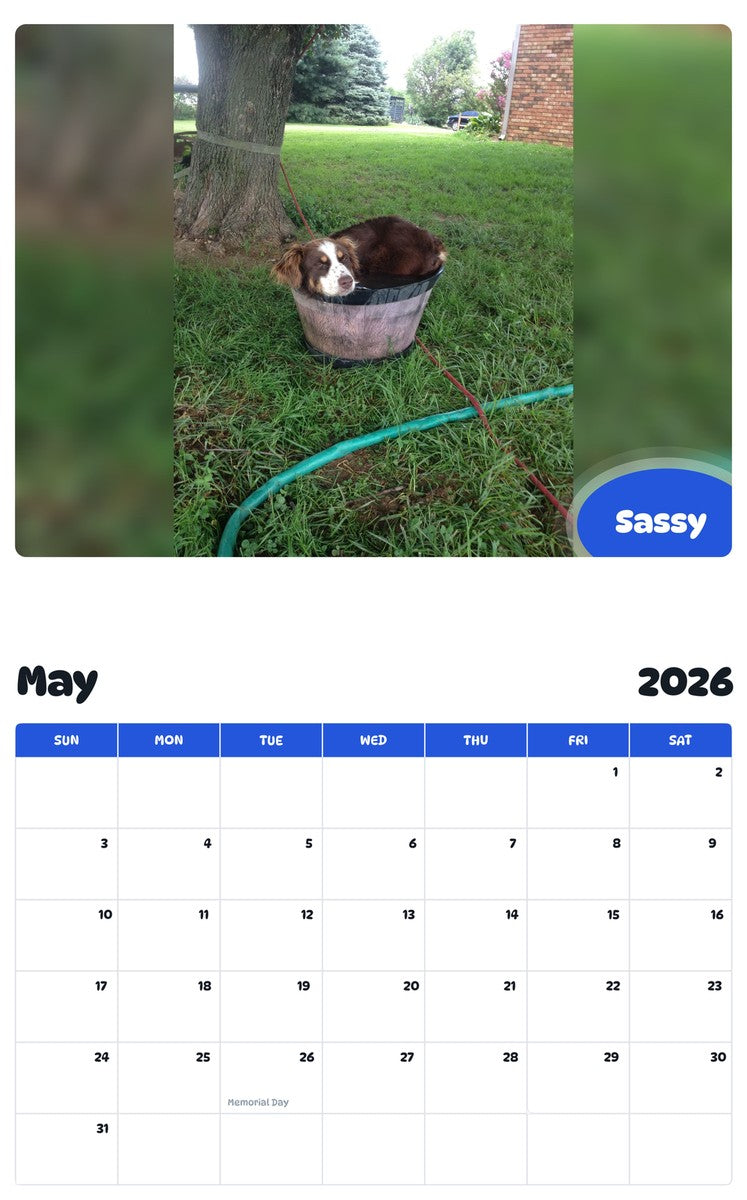 2026 - 2027 Sassy - Pawidols Pet Calendar