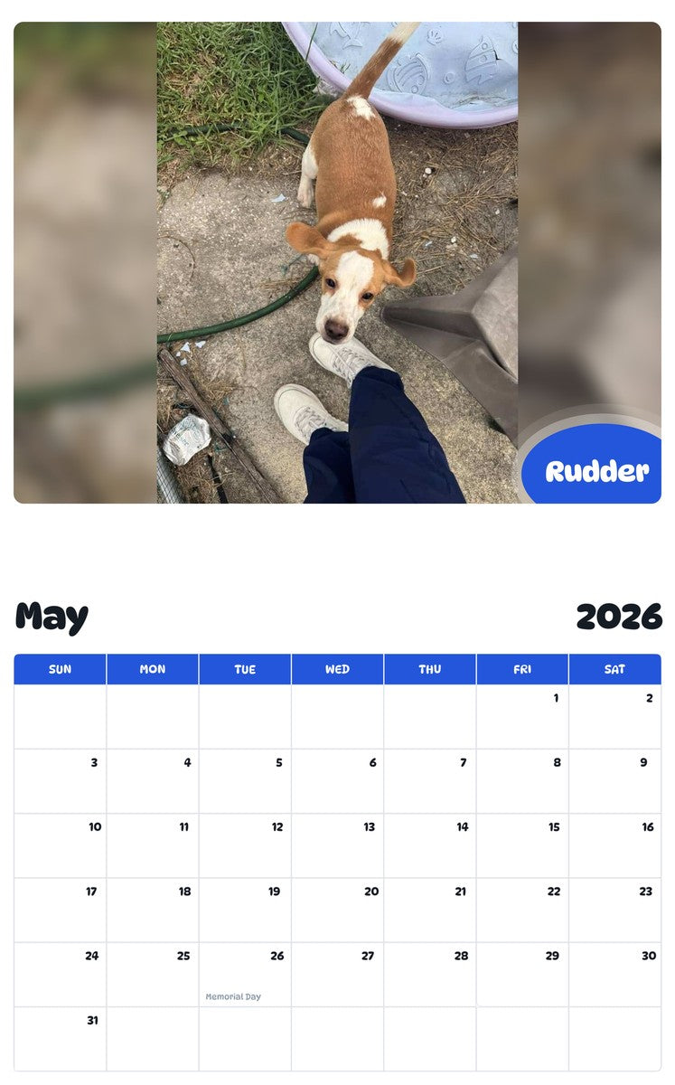 2026 - 2027 Rudder - Pawidols Pet Calendar