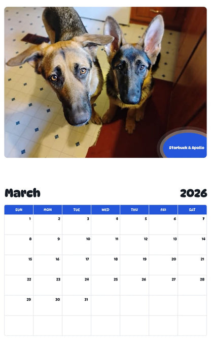 November 2025 - October 2026 Starbuck & Apollo - Pawidols Pet Calendar