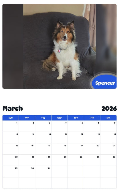 November 2025 - October 2026 Spencer - Pawidols Pet Calendar