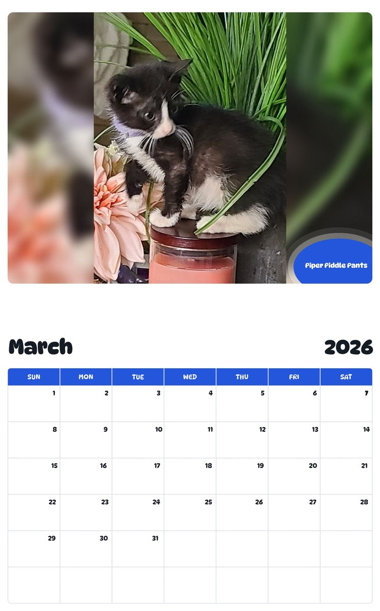 November 2025 - October 2026 Piper Piddle Pants - Pawidols Pet Calendar