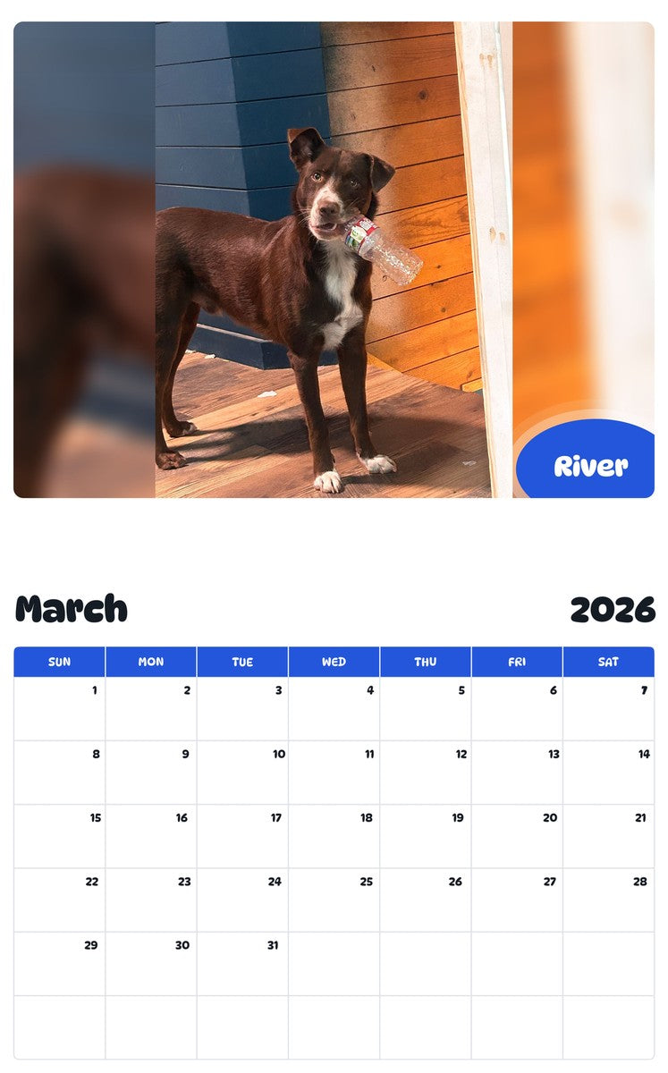 November 2025 - October 2026 River - Pawidols Pet Calendar