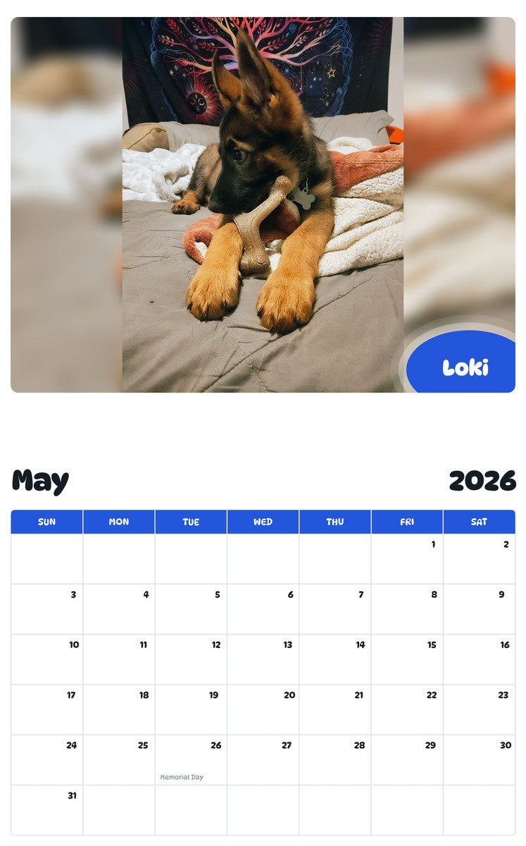 2026 - 2027 Loki - Pawidols Pet Calendar
