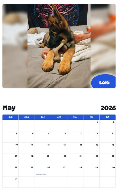 2026 - 2027 Loki - Pawidols Pet Calendar