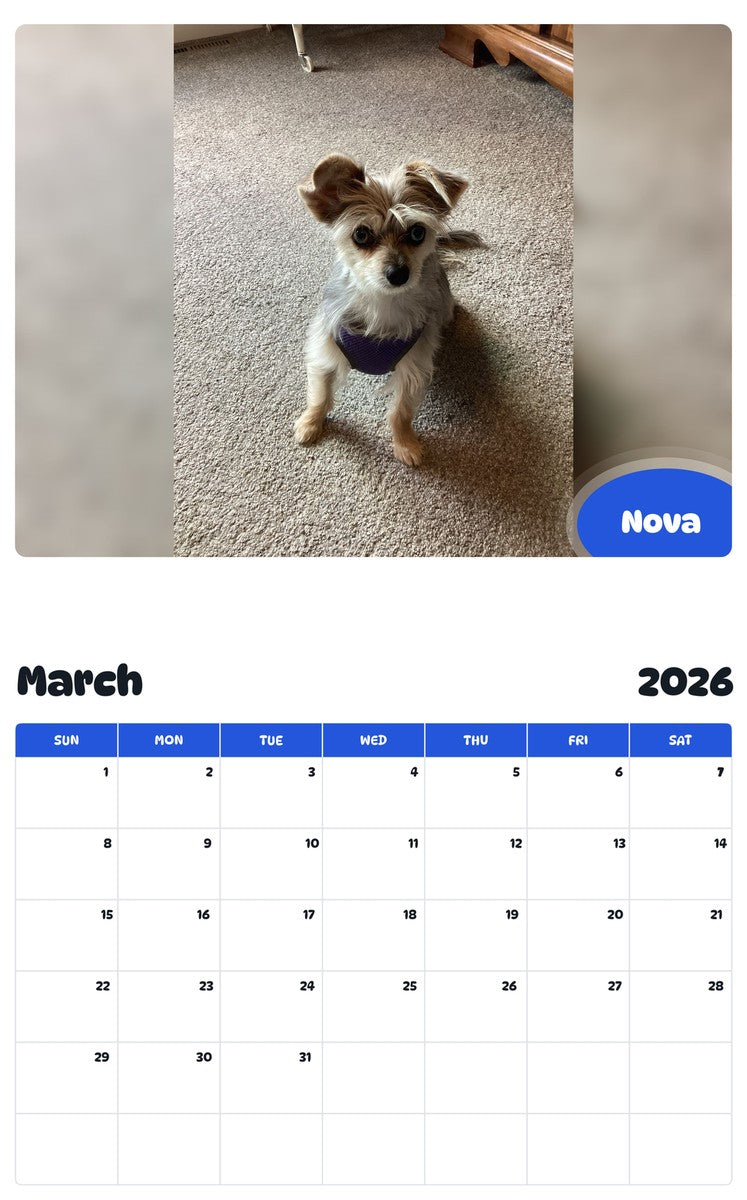 November 2025 - October 2026 Nova - Pawidols Pet Calendar