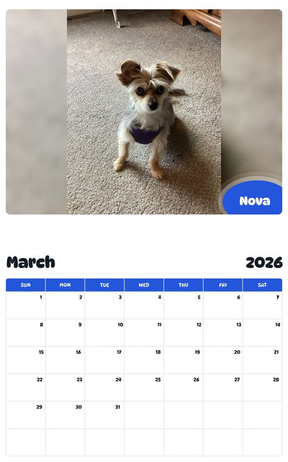 November 2025 - October 2026 Nova - Pawidols Pet Calendar