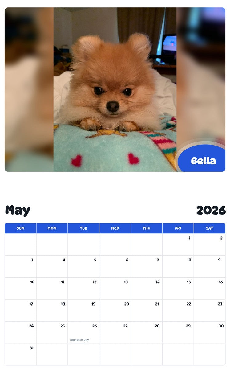 2026 - 2027 Bella - Pawidols Pet Calendar