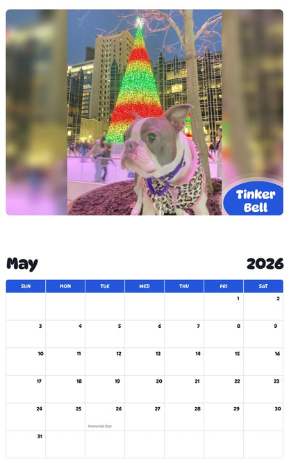 2026 - 2027 Tinker Bell - Pawidols Pet Calendar