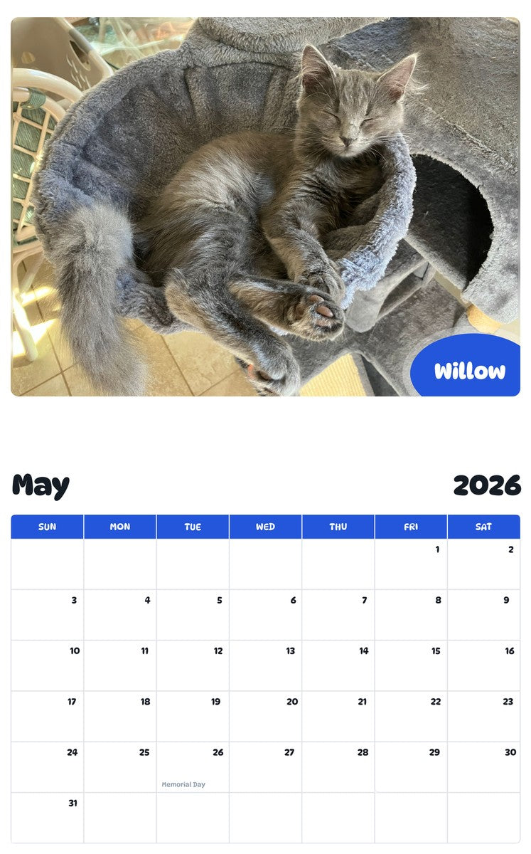 2026 - 2027 Willow - Pawidols Pet Calendar