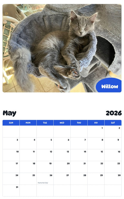 2026 - 2027 Willow - Pawidols Pet Calendar