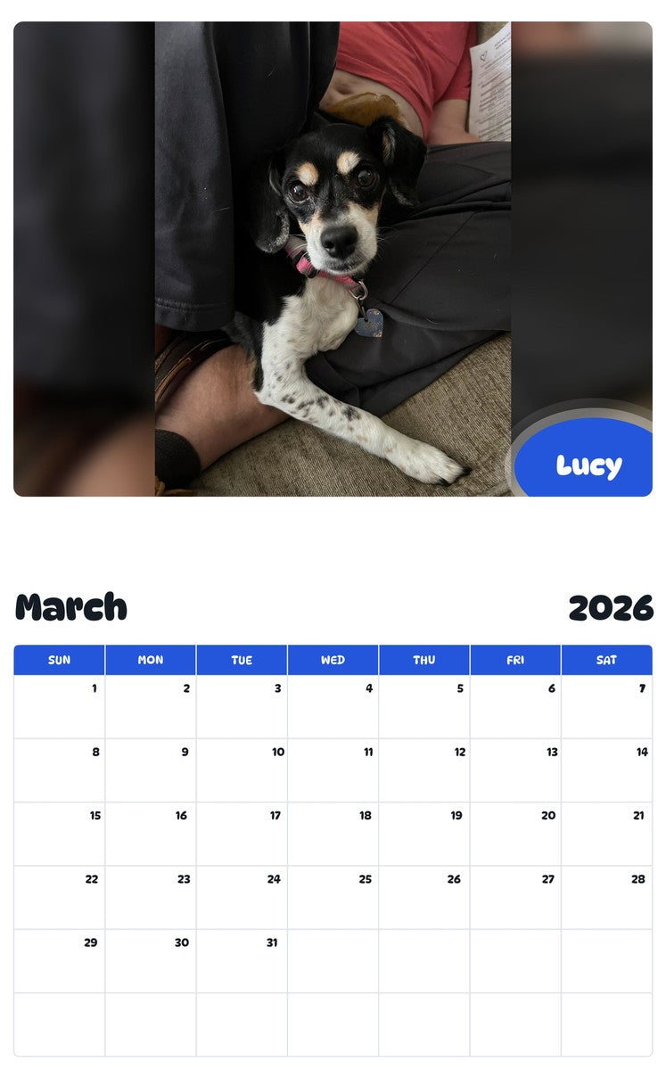 November 2025 - October 2026 Lucy - Pawidols Pet Calendar