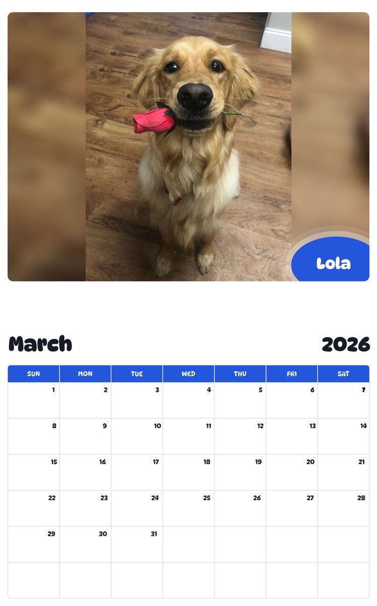 November 2025 - October 2026 Lola - Pawidols Pet Calendar
